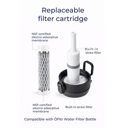 Replaceable electro-adsorptive filter cartridge and built-in straw filter inside the ÔFltr water filter bottle